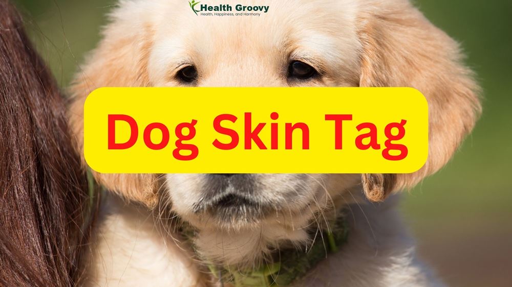 What Exactly is a Dog Skin Tag?